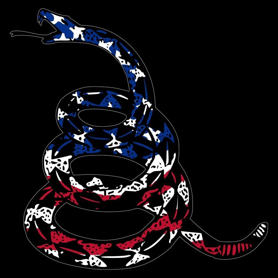 Grunt Style Freedom Gadsden T-Shirt - Black