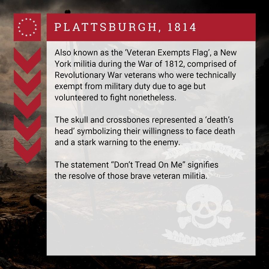 Grunt Style Veteran Exempt Flag