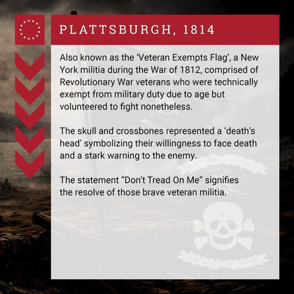 Grunt Style Veteran Exempt Flag