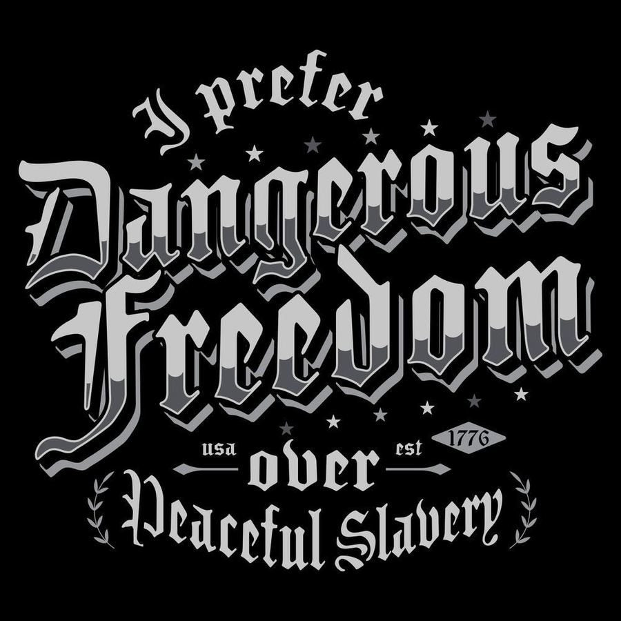 Grunt Style Dangerous Freedom T-Shirt - Black